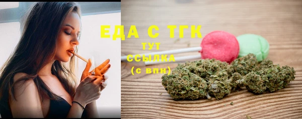 СК Вязьма