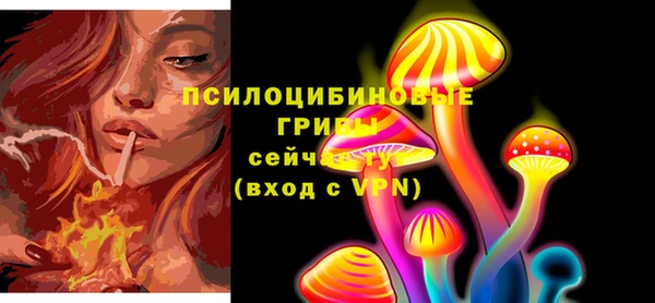 СК Вязьма