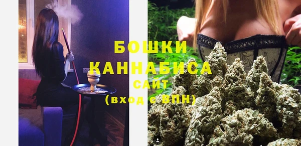 СК Вязьма