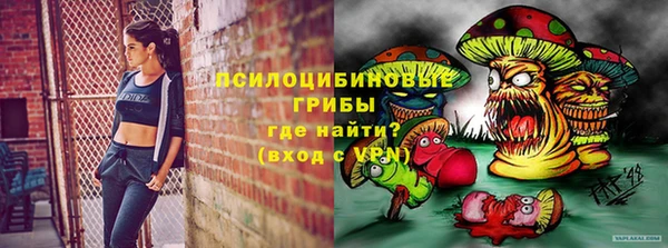 СК Вязьма