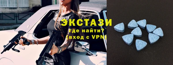 СК Вязьма