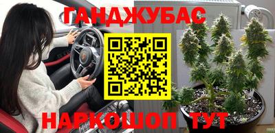 метадон Гусь-Хрустальный