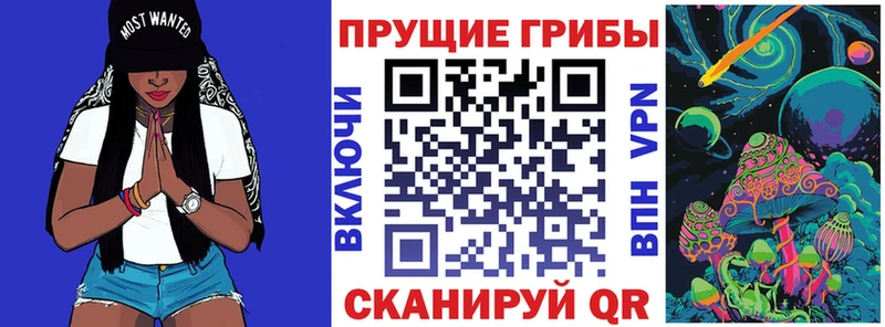 Галлюциногенные грибы GOLDEN TEACHER  наркотики  Егорьевск 