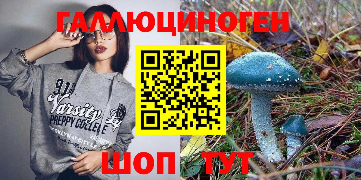 где купить наркоту  Галлюциногенные грибы Magic Shrooms  Егорьевск  Галлюциногенные грибы MAGIC MUSHROOMS 