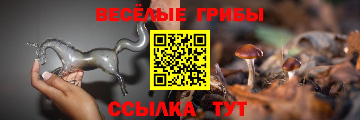 Егорьевск  Галлюциногенные грибы прущие грибы  Вход с VPN  Псилоцибиновые грибы MAGIC MUSHROOMS 