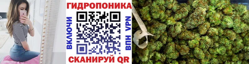 Бошки Шишки конопля  купить   мориарти телеграм  Егорьевск 